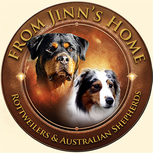 From Jinns Home: logo