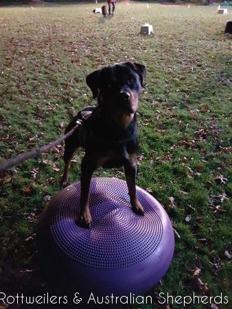 Jinn Heavys Kayleigh 005 Jinn Heavys Kayleigh 005