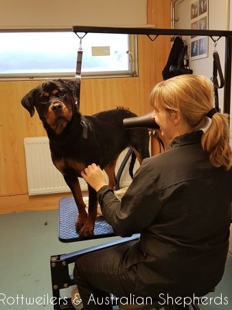 Jinn Heavys Kayleigh 008 Jinn Heavys Kayleigh 008