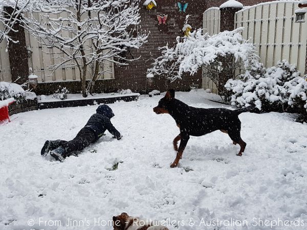 Jinn Heavys Kayleigh 009 Jinn Heavys Kayleigh 009