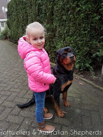 Jinn Heavys Kayleigh 012 Jinn Heavys Kayleigh 012