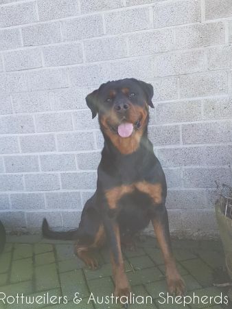 Jinn Heavys Kayleigh 052 Jinn Heavys Kayleigh 052