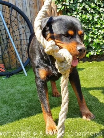 Jinn Heavys Kayleigh 053 Jinn Heavys Kayleigh 053