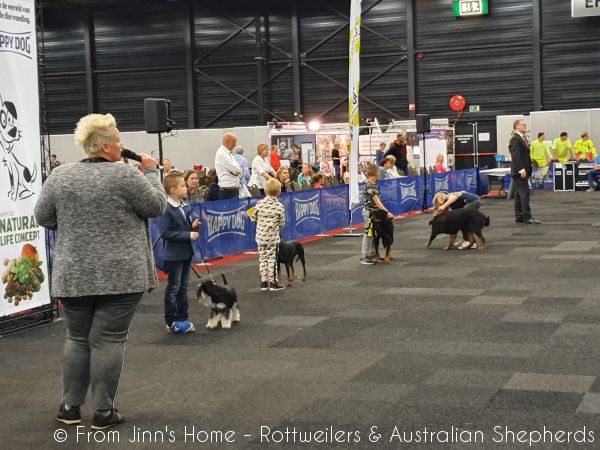 Jinn Heavys Kayleigh 055 Jinn Heavys Kayleigh 055