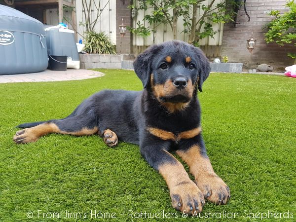 Joy Laika van Meijl opZeven 010 Joy Laika van Meijl opZeven 010