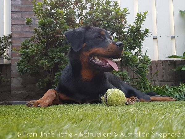 Joy Laika van Meijl opZeven 024 Joy Laika van Meijl opZeven 024