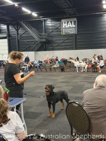 Joy Laika van Meijl opZeven 036 Joy Laika van Meijl opZeven 036