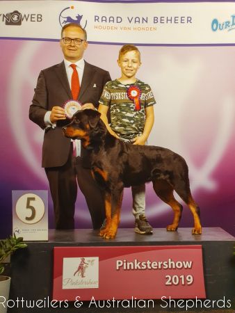 Joy Laika van Meijl opZeven 037 Joy Laika van Meijl opZeven 037