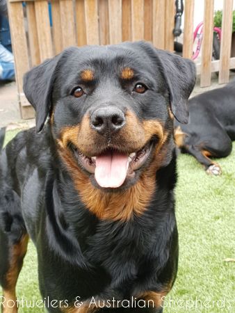 Joy Laika van Meijl opZeven 038 Joy Laika van Meijl opZeven 038