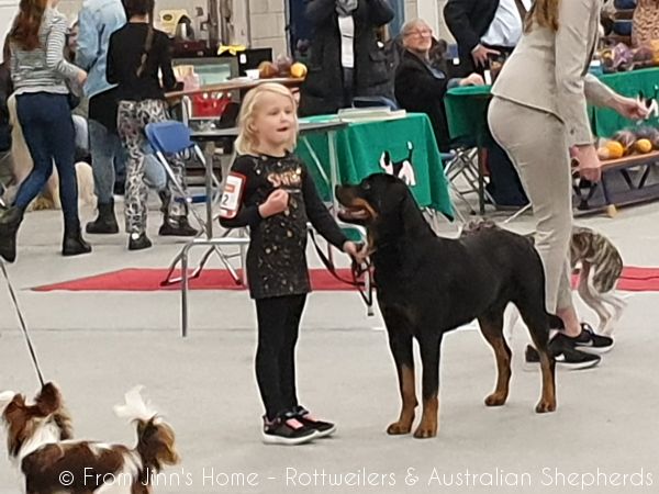 Joy Laika van Meijl opZeven 043 Joy Laika van Meijl opZeven 043