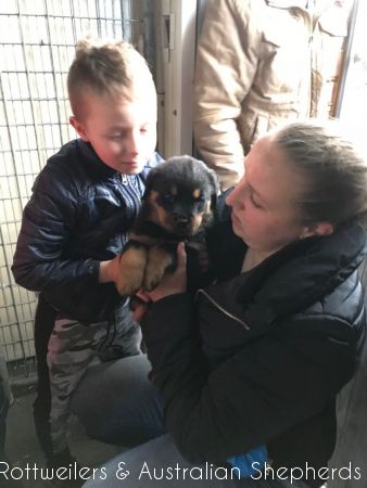 Joy Laika van Meijl opZeven 049 Joy Laika van Meijl opZeven 049