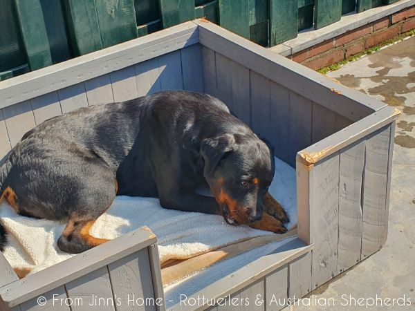 20200914 122522 20200914 122522