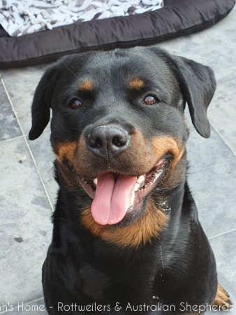 20200914 163236 20200914 163236