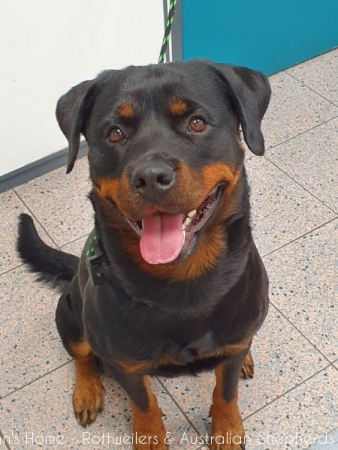 20200926 094333 20200926 094333