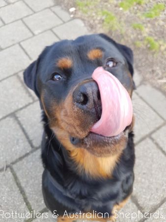 Jinn Heavys Kayleigh 015 Jinn Heavys Kayleigh 015