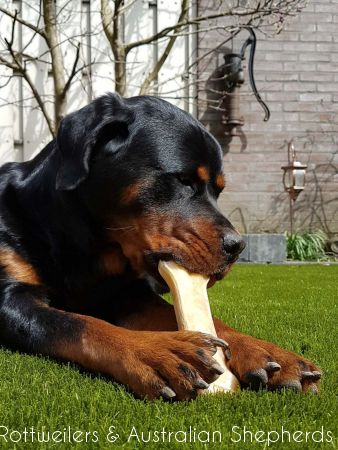 Jinn Heavys Kayleigh 016 Jinn Heavys Kayleigh 016