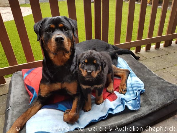 Jinn Heavys Kayleigh 018 Jinn Heavys Kayleigh 018