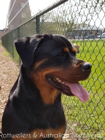 Jinn Heavys Kayleigh 023 Jinn Heavys Kayleigh 023