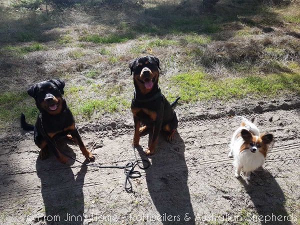 Jinn Heavys Kayleigh 044 Jinn Heavys Kayleigh 044