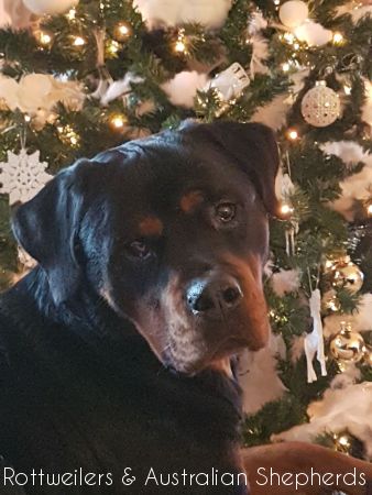 Jinn Heavys Kayleigh 048 Jinn Heavys Kayleigh 048