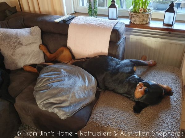 20200205 151001 20200205 151001