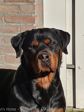 20200207 125341 20200207 125341