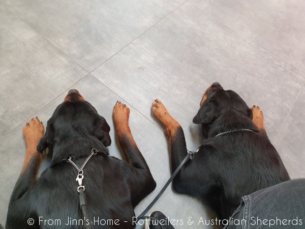 20200210 085824 20200210 085824