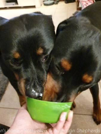 20200306 184334 20200306 184334