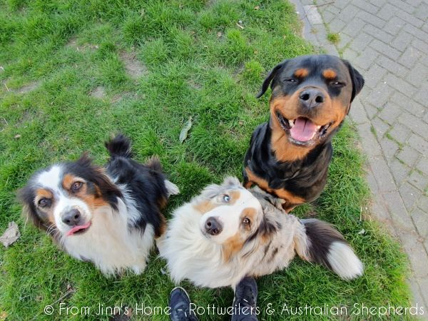 20200328 162226 20200328 162226