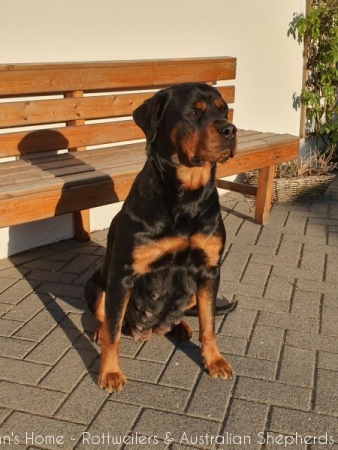 20200409 190743 20200409 190743