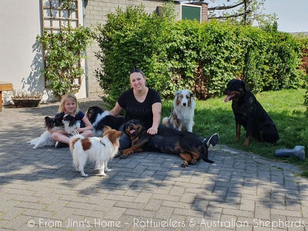 20200416 145428 20200416 145428