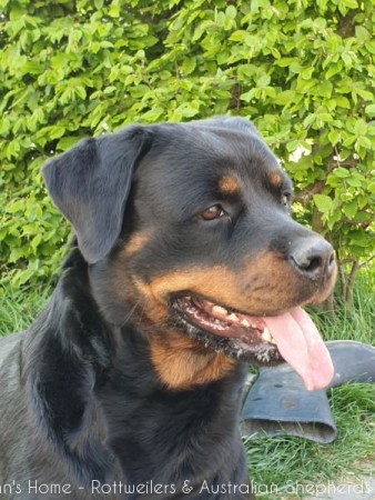 20200416 150118 20200416 150118