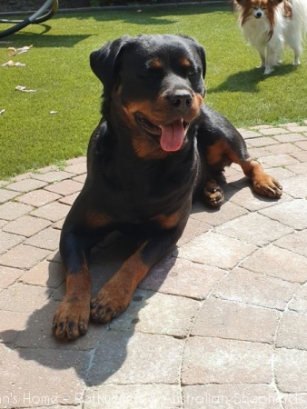 20200424 133841 20200424 133841