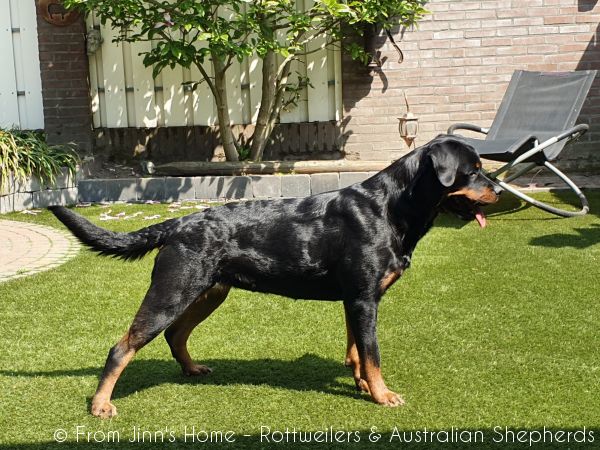 20200424 134113 20200424 134113