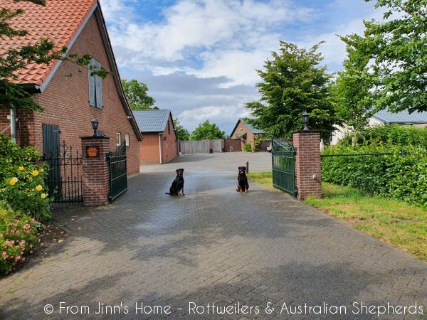 20200605 164609 20200605 164609