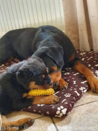 20200609 140743 20200609 140743