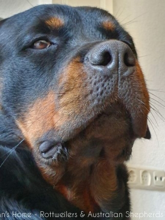 20200611 133108 20200611 133108