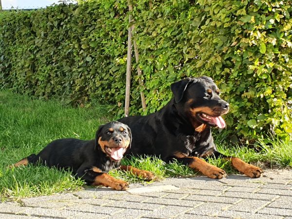 20200710 193417 20200710 193417