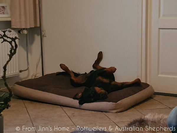 20200724 222727 20200724 222727