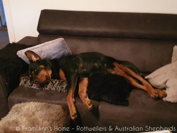 20200829 203000 20200829 203000