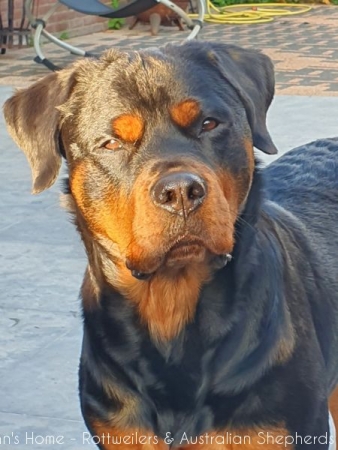 20200906 081935 20200906 081935