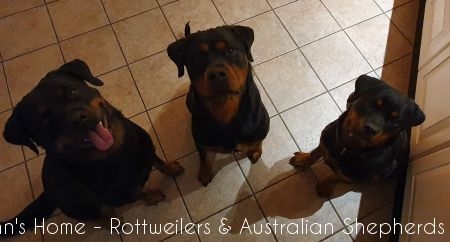 20201005 192028 20201005 192028