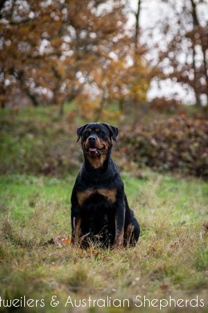 fromjinnshome hr 1 fromjinnshome hr 1