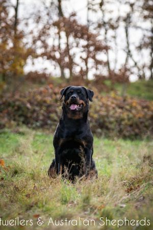 fromjinnshome hr 2 fromjinnshome hr 2