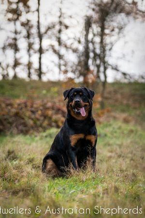 fromjinnshome hr 7 fromjinnshome hr 7