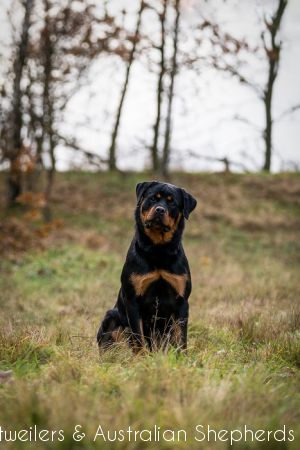 fromjinnshome hr 8 fromjinnshome hr 8