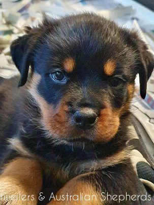 fromjinnshome10 fromjinnshome10