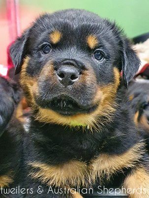 fromjinnshome12 fromjinnshome12