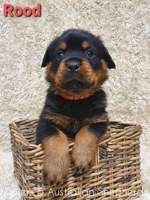 fromjinnshome3 fromjinnshome3