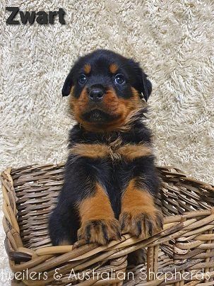 fromjinnshome4 fromjinnshome4